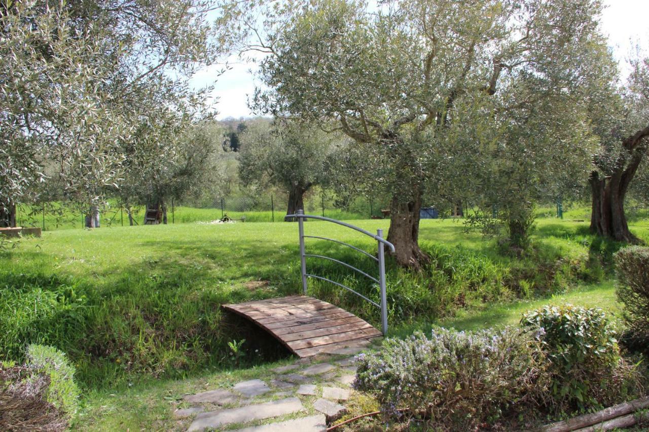 Le Coccole Del Trasimeno Vendégház Tuoro sul Trasimeno Kültér fotó