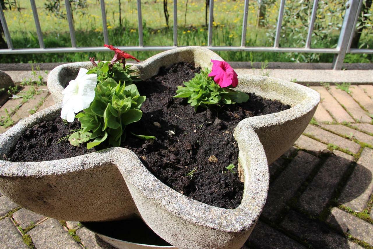 Le Coccole Del Trasimeno Vendégház Tuoro sul Trasimeno Kültér fotó