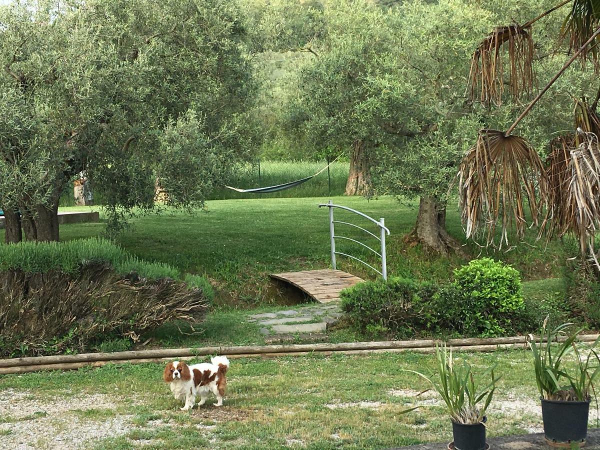 Le Coccole Del Trasimeno Vendégház Tuoro sul Trasimeno Kültér fotó