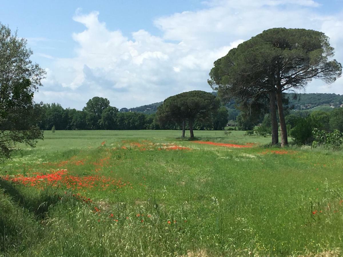 Le Coccole Del Trasimeno Vendégház Tuoro sul Trasimeno Kültér fotó