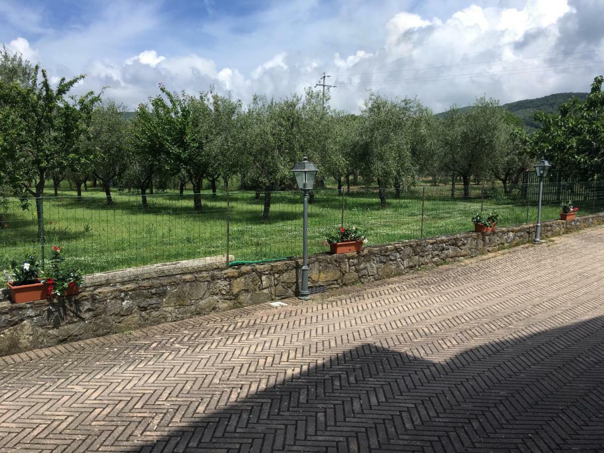 Le Coccole Del Trasimeno Vendégház Tuoro sul Trasimeno Kültér fotó
